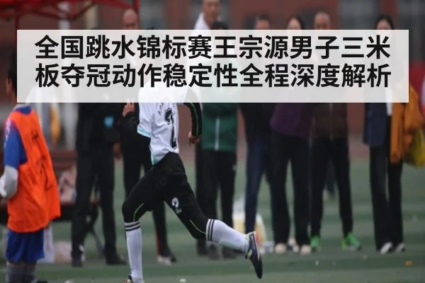 全国跳水锦标赛王宗源男子三米板夺冠动作稳定性全程深度解析